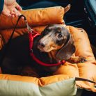 Prémium műbőr kutyaülés-magasító ágy